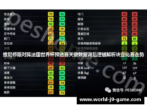 维尼修斯对阵法国世界杯预选赛关键数据背后逻辑解析决定比赛走势