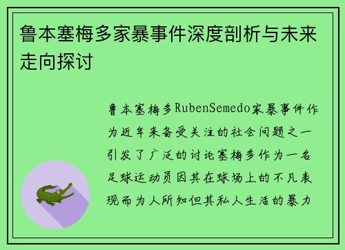鲁本塞梅多家暴事件深度剖析与未来走向探讨